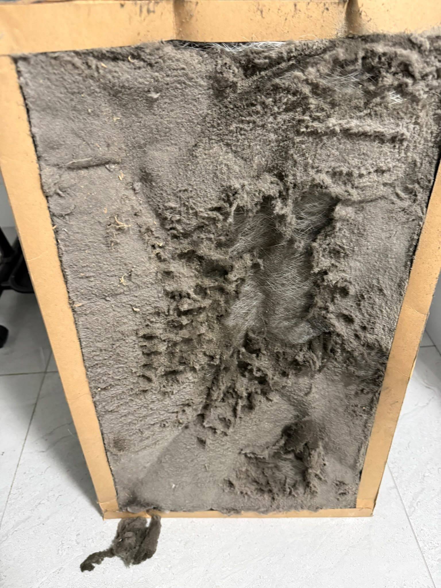 Close-up of a heavily dust-covered HVAC filter or fibrous air-filter surface.